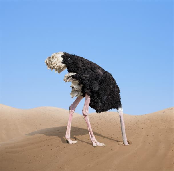 There’s nothing wrong with being an ostrich